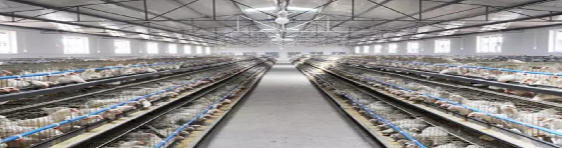 深圳东维图：养殖行业气