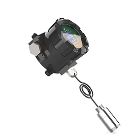 固定在线式气体检测仪(耐高温)